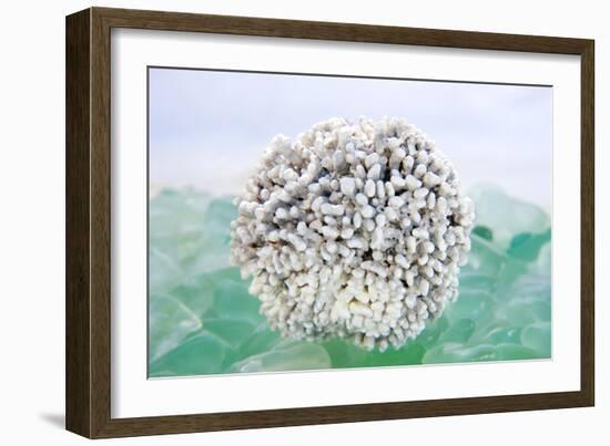 Crystal Harbor #32-Alan Blaustein-Framed Photographic Print