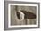 Crystal Harbor #35-Alan Blaustein-Framed Photographic Print