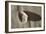 Crystal Harbor #35-Alan Blaustein-Framed Photographic Print