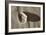 Crystal Harbor #35-Alan Blaustein-Framed Photographic Print