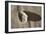 Crystal Harbor #35-Alan Blaustein-Framed Photographic Print