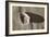 Crystal Harbor #35-Alan Blaustein-Framed Photographic Print