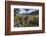 Crystal Mill Near Marble, Colorado, Usa-Chuck Haney-Framed Photographic Print