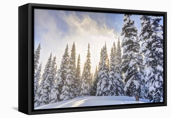 Crystal Mountain Ski Resort, Near Mt. Rainier, Wa, USA-Stuart Westmorland-Framed Premier Image Canvas