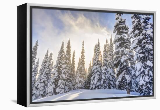 Crystal Mountain Ski Resort, Near Mt. Rainier, Wa, USA-Stuart Westmorland-Framed Premier Image Canvas