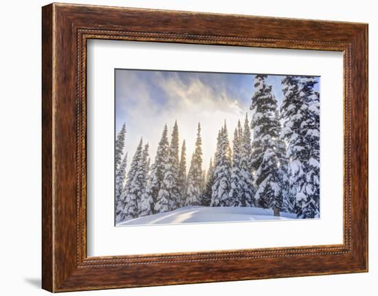 Crystal Mountain Ski Resort, Near Mt. Rainier, Wa, USA-Stuart Westmorland-Framed Premium Photographic Print