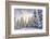 Crystal Mountain Ski Resort, Near Mt. Rainier, Wa, USA-Stuart Westmorland-Framed Photographic Print