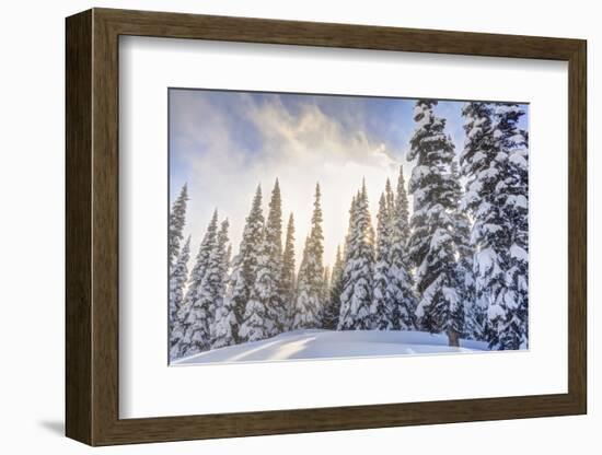 Crystal Mountain Ski Resort, Near Mt. Rainier, Wa, USA-Stuart Westmorland-Framed Photographic Print