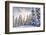 Crystal Mountain Ski Resort, Near Mt. Rainier, Wa, USA-Stuart Westmorland-Framed Photographic Print