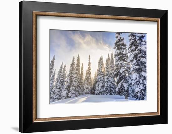 Crystal Mountain Ski Resort, Near Mt. Rainier, Wa, USA-Stuart Westmorland-Framed Photographic Print