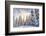 Crystal Mountain Ski Resort, Near Mt. Rainier, Wa, USA-Stuart Westmorland-Framed Photographic Print