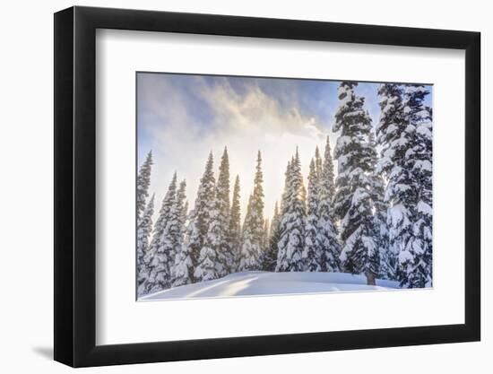 Crystal Mountain Ski Resort, Near Mt. Rainier, Wa, USA-Stuart Westmorland-Framed Photographic Print