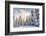 Crystal Mountain Ski Resort, Near Mt. Rainier, Wa, USA-Stuart Westmorland-Framed Photographic Print