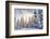 Crystal Mountain Ski Resort, Near Mt. Rainier, Wa, USA-Stuart Westmorland-Framed Photographic Print