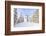 Crystal Mountain Ski Resort, Near Mt. Rainier, Wa, USA-Stuart Westmorland-Framed Photographic Print