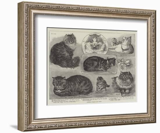 Crystal Palace Cat Show-null-Framed Giclee Print