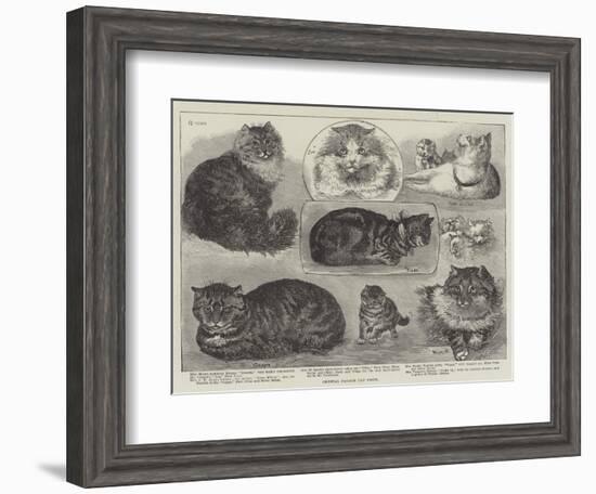 Crystal Palace Cat Show-null-Framed Giclee Print