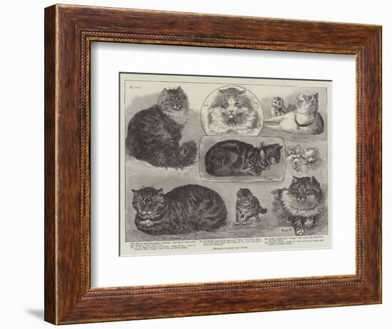 Crystal Palace Cat Show-null-Framed Giclee Print