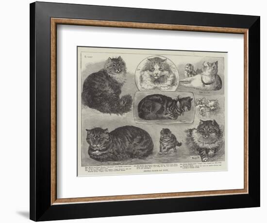 Crystal Palace Cat Show-null-Framed Giclee Print