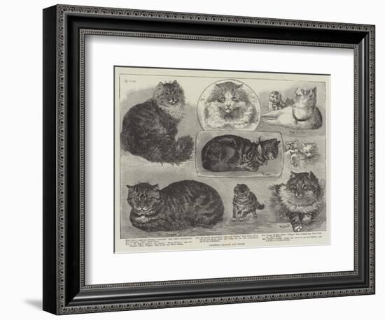 Crystal Palace Cat Show-null-Framed Giclee Print