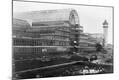 Photographic Print