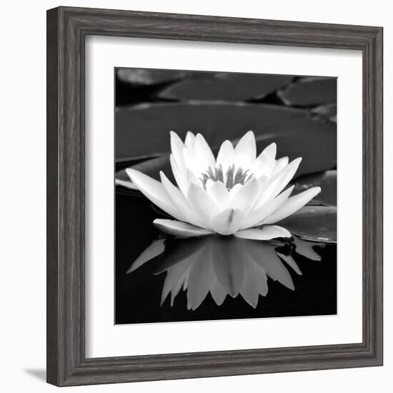 Crystal Reflection II-null-Framed Art Print