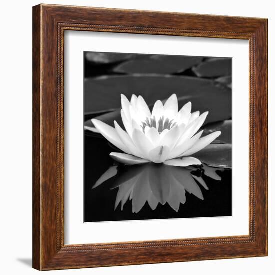 Crystal Reflection II-null-Framed Art Print