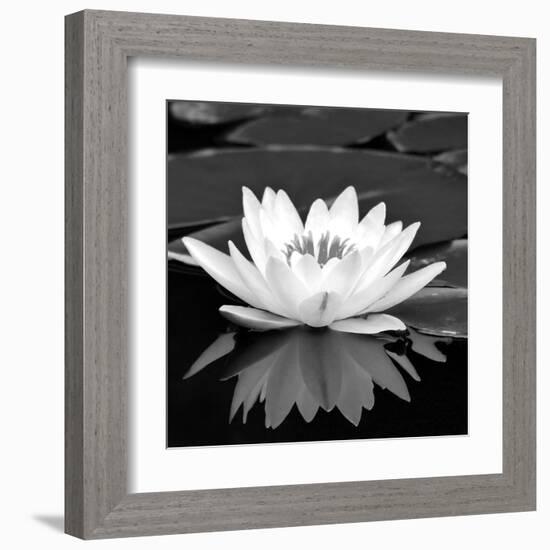 Crystal Reflection II-null-Framed Art Print