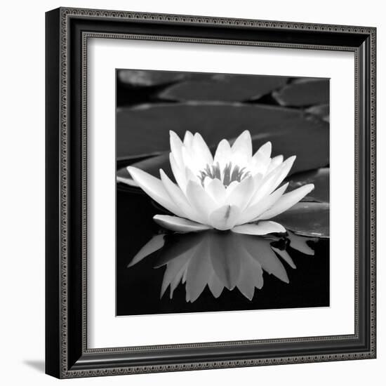 Crystal Reflection II-null-Framed Art Print