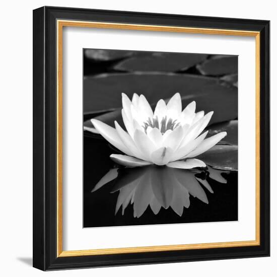 Crystal Reflection II-null-Framed Art Print