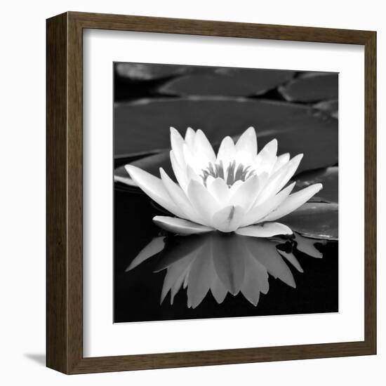 Crystal Reflection II-null-Framed Art Print