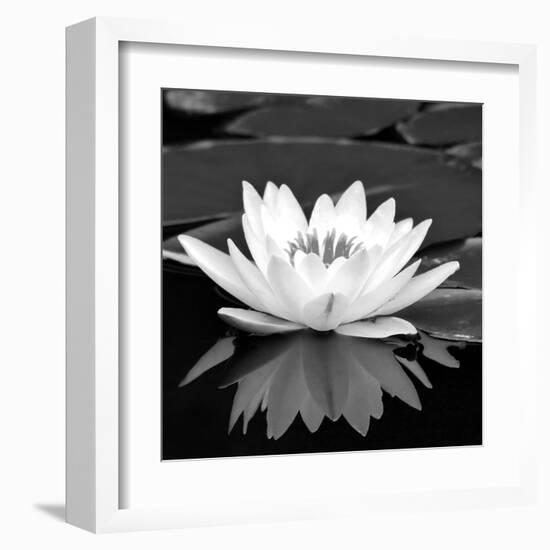 Crystal Reflection II-null-Framed Art Print