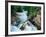 Crystal River, Gunnison National Forest, Colorado, USA-Adam Jones-Framed Photographic Print