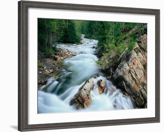 Crystal River, Gunnison National Forest, Colorado, USA-Adam Jones-Framed Photographic Print