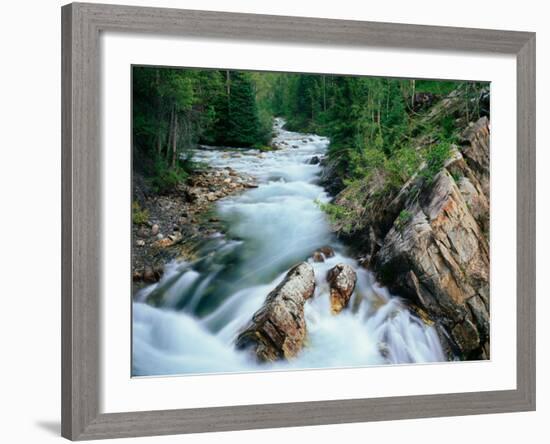 Crystal River, Gunnison National Forest, Colorado, USA-Adam Jones-Framed Photographic Print