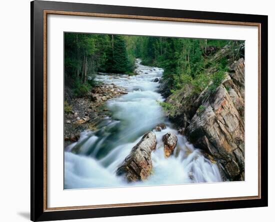 Crystal River, Gunnison National Forest, Colorado, USA-Adam Jones-Framed Photographic Print