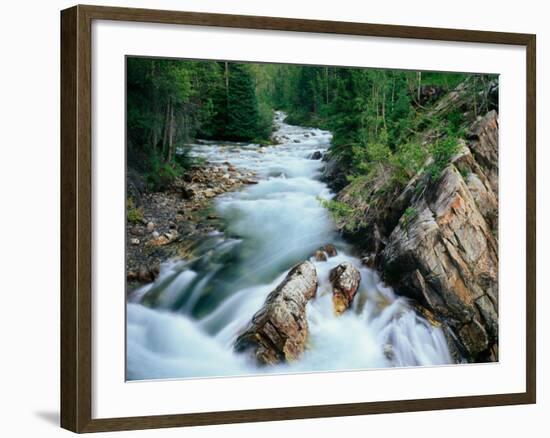 Crystal River, Gunnison National Forest, Colorado, USA-Adam Jones-Framed Photographic Print