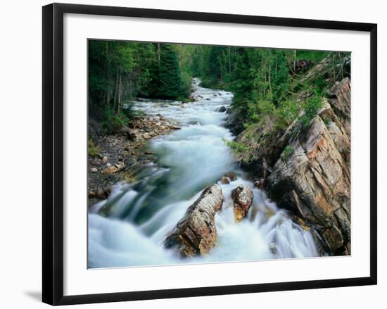 Crystal River, Gunnison National Forest, Colorado, USA-Adam Jones-Framed Photographic Print