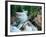 Crystal River, Gunnison National Forest, Colorado, USA-Adam Jones-Framed Photographic Print