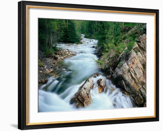 Crystal River, Gunnison National Forest, Colorado, USA-Adam Jones-Framed Photographic Print