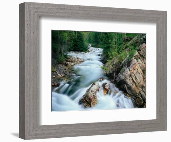 Crystal River, Gunnison National Forest, Colorado, USA-Adam Jones-Framed Photographic Print