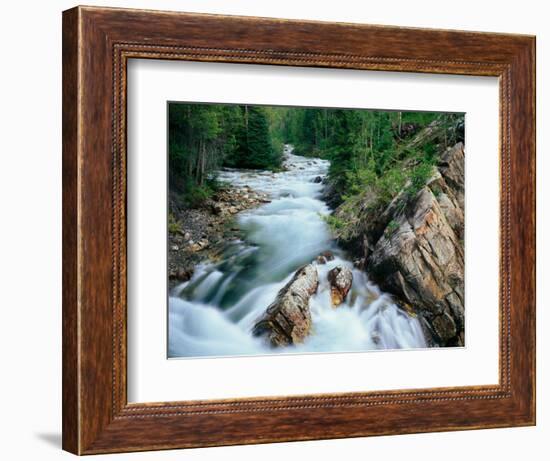 Crystal River, Gunnison National Forest, Colorado, USA-Adam Jones-Framed Photographic Print