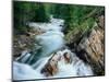 Crystal River, Gunnison National Forest, Colorado, USA-Adam Jones-Mounted Photographic Print