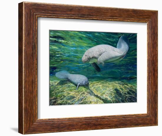 Crystal River Manatee-Lucy P. McTier-Framed Giclee Print