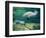 Crystal River Manatee-Lucy P. McTier-Framed Giclee Print