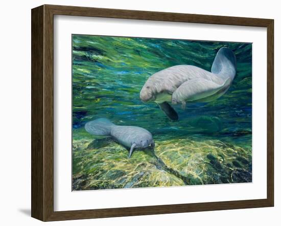 Crystal River Manatee-Lucy P. McTier-Framed Giclee Print