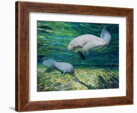 Crystal River Manatee-Lucy P. McTier-Framed Giclee Print