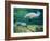 Crystal River Manatee-Lucy P. McTier-Framed Giclee Print