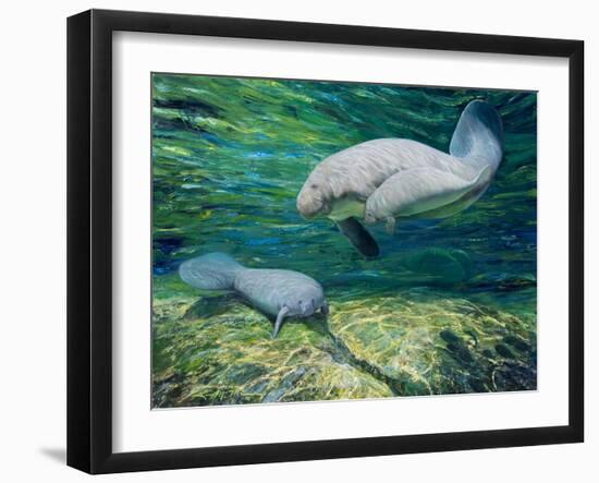 Crystal River Manatee-Lucy P. McTier-Framed Giclee Print