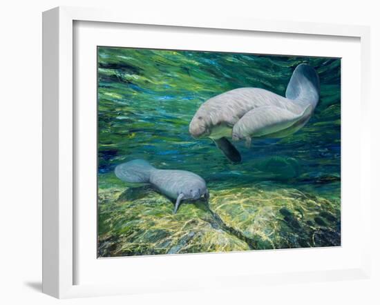 Crystal River Manatee-Lucy P. McTier-Framed Giclee Print